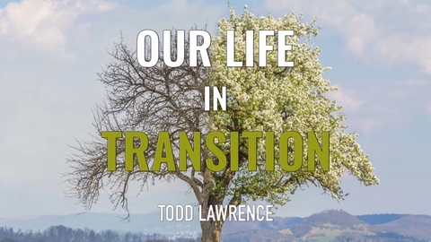 Our Life In Transition