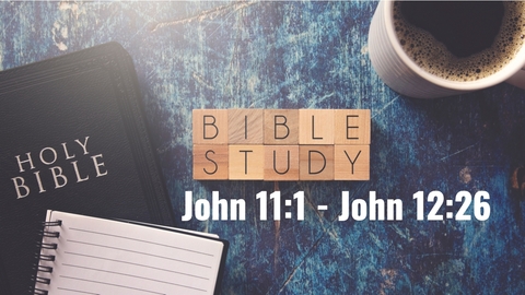 John 11-1 - John 12-26