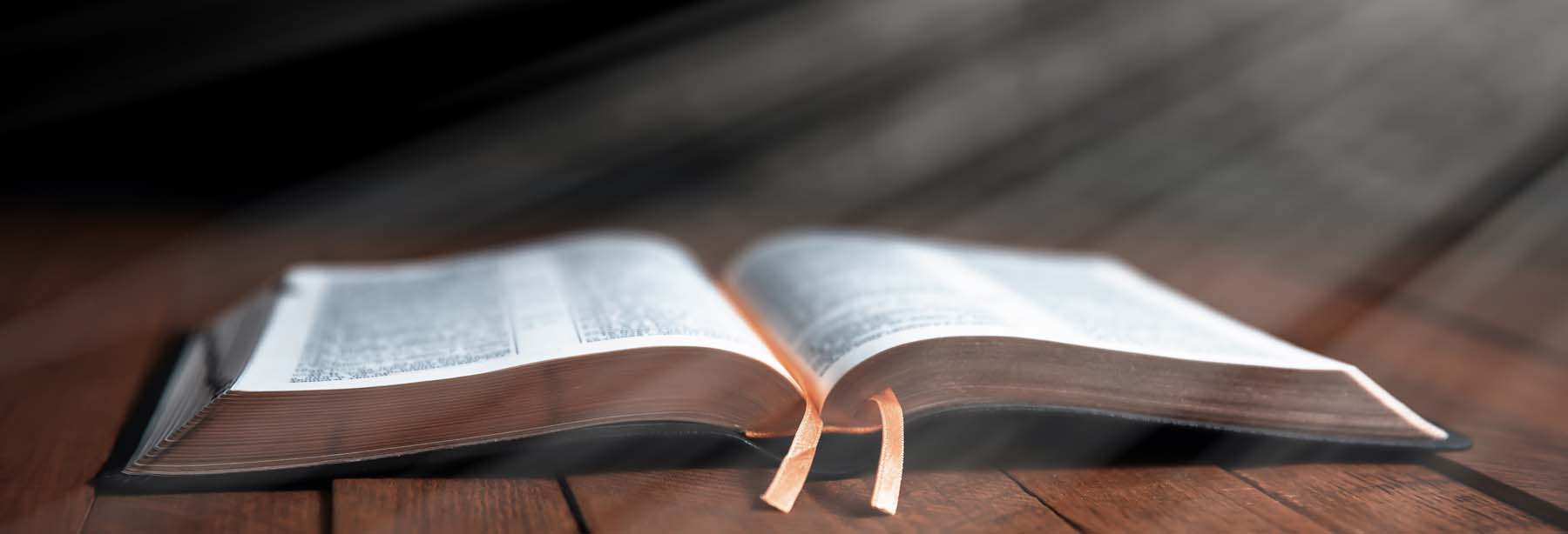 The Seven Faces of Self-Righteousness